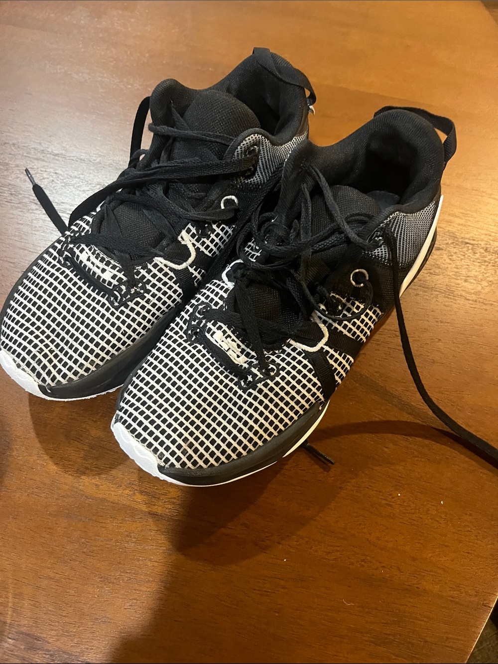 Black and White Nike Lebron Witness 7s
